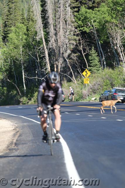 Porcupine-Big-Cottonwood-Hill-Climb-6-7-2014-IMG_0365